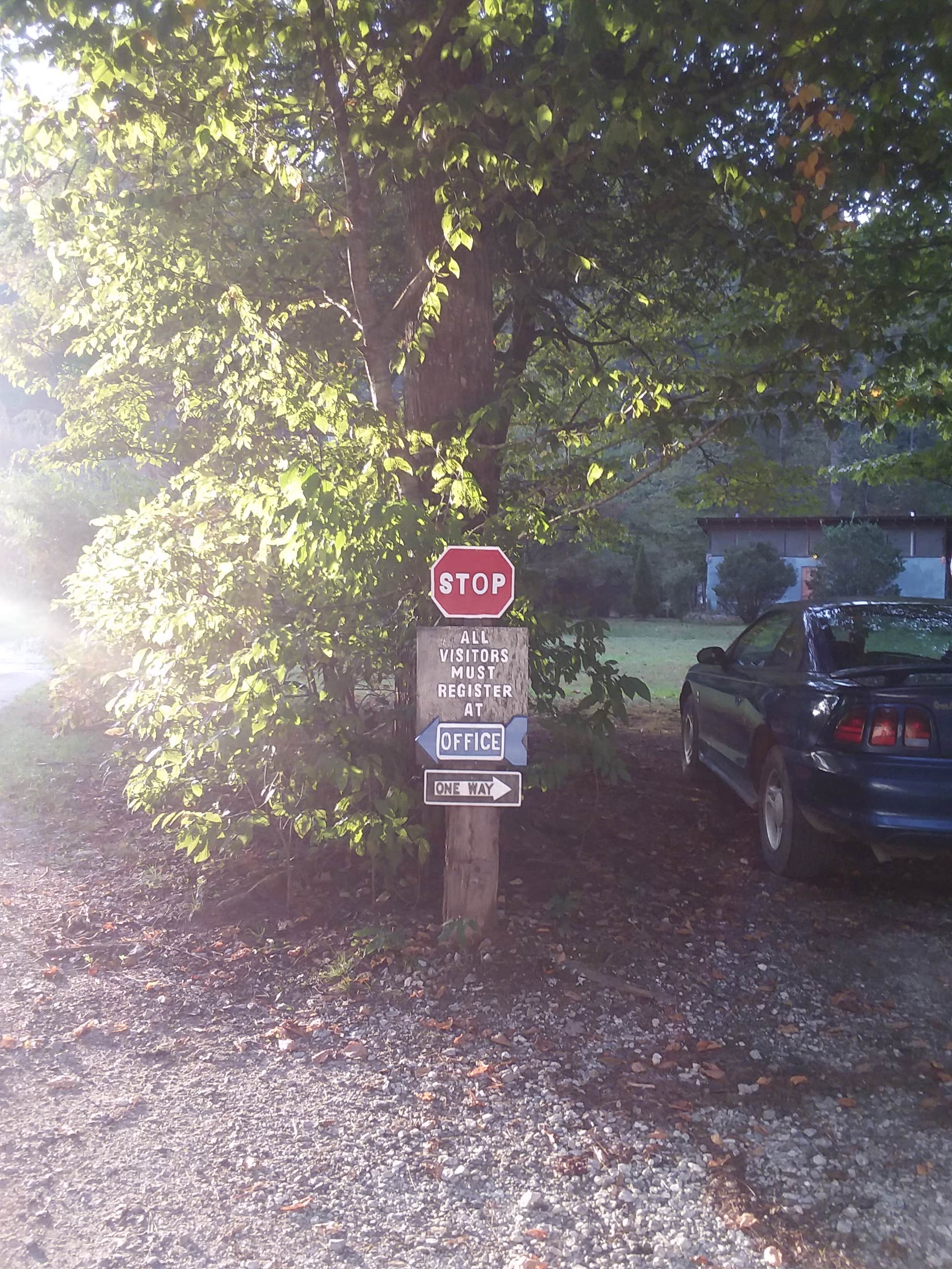 Camper submitted image from Lazy J Campground - 2