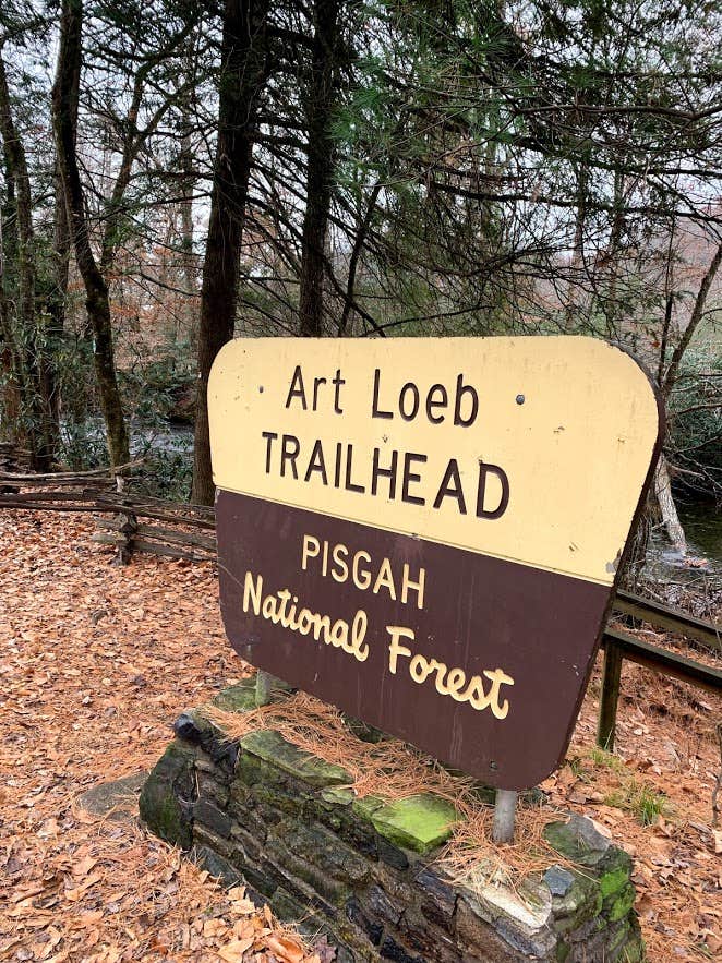 Camper submitted image from Davidson River Campground - 5