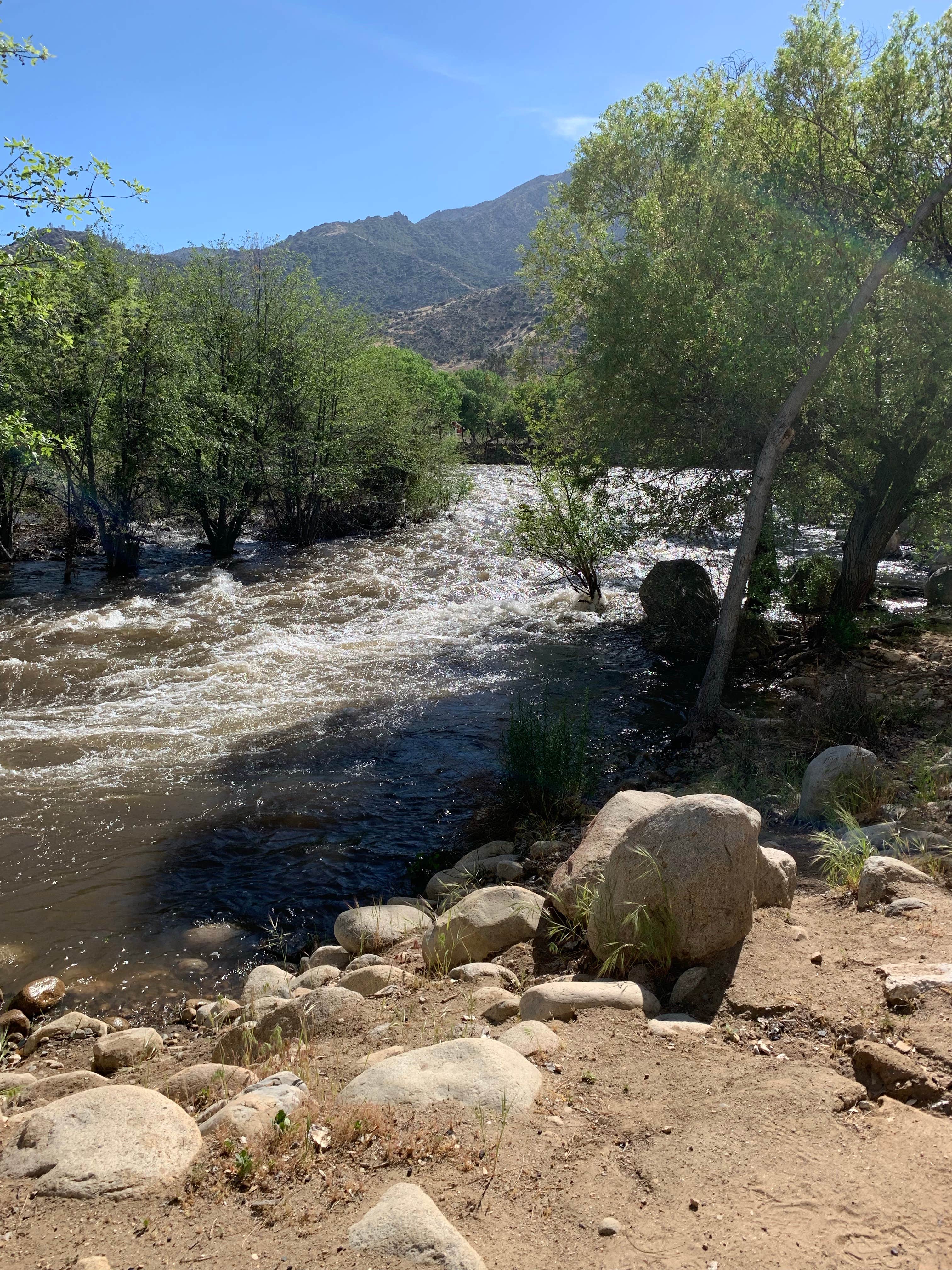 Camper submitted image from Rivernook Campground - 5