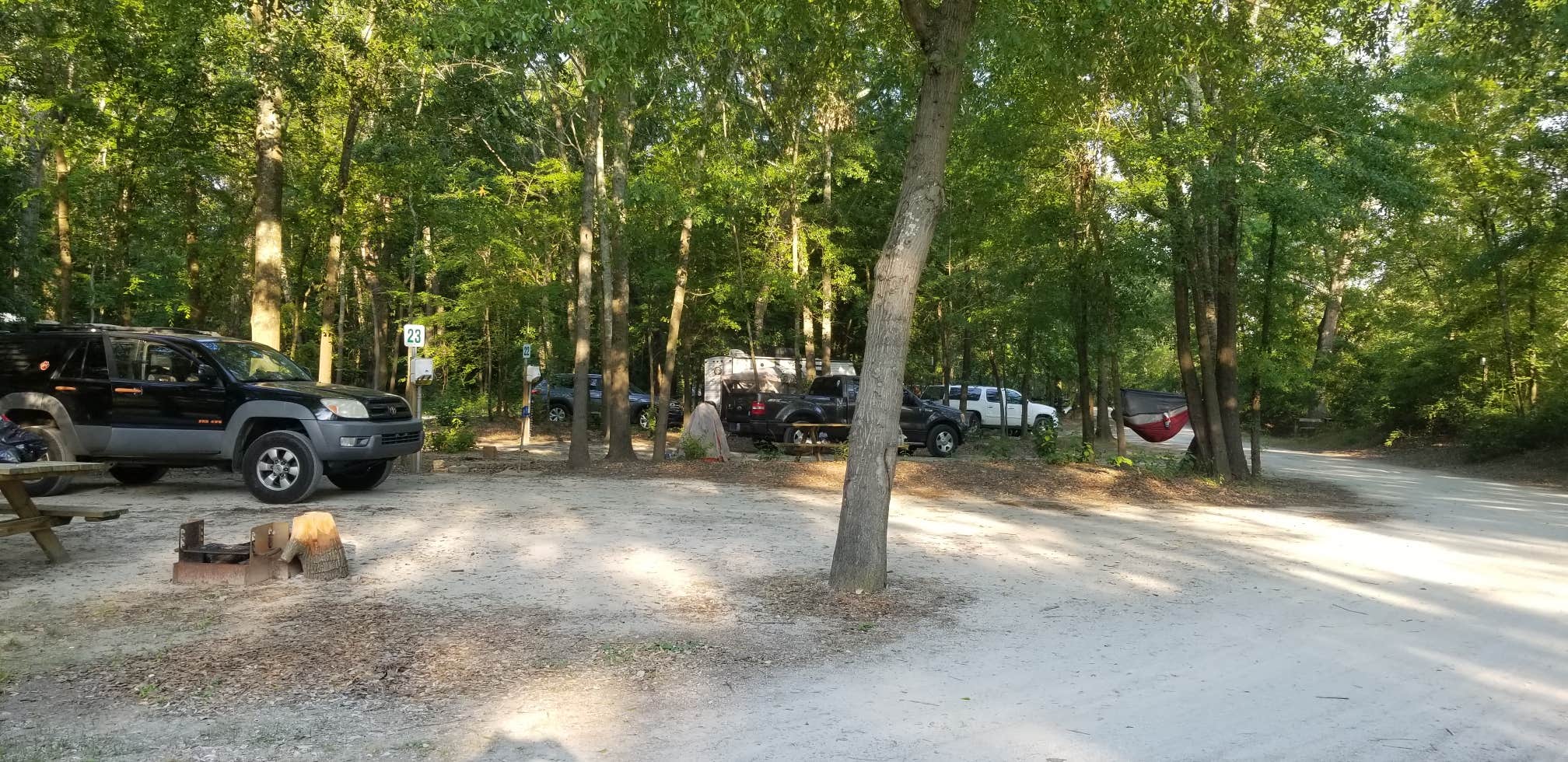 Camper submitted image from Neuseway Nature Park & Campground - 3