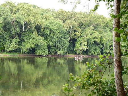 Camper submitted image from Antietam Creek Campground — Chesapeake and Ohio Canal National Historical Park - 5