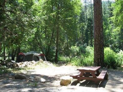 Camper submitted image from Carlton - 2