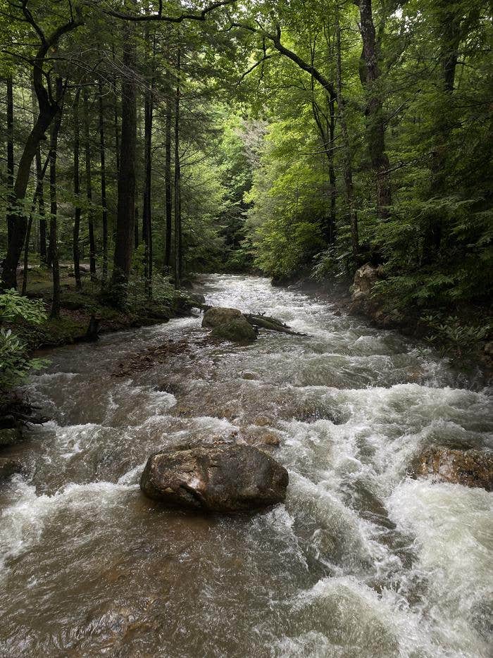 Camper submitted image from Horse Creek Recreation Area - 5