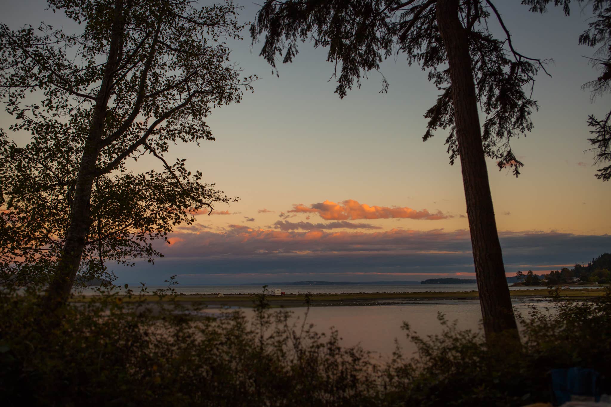 Camper submitted image from Lower Oak Bay Park - 5