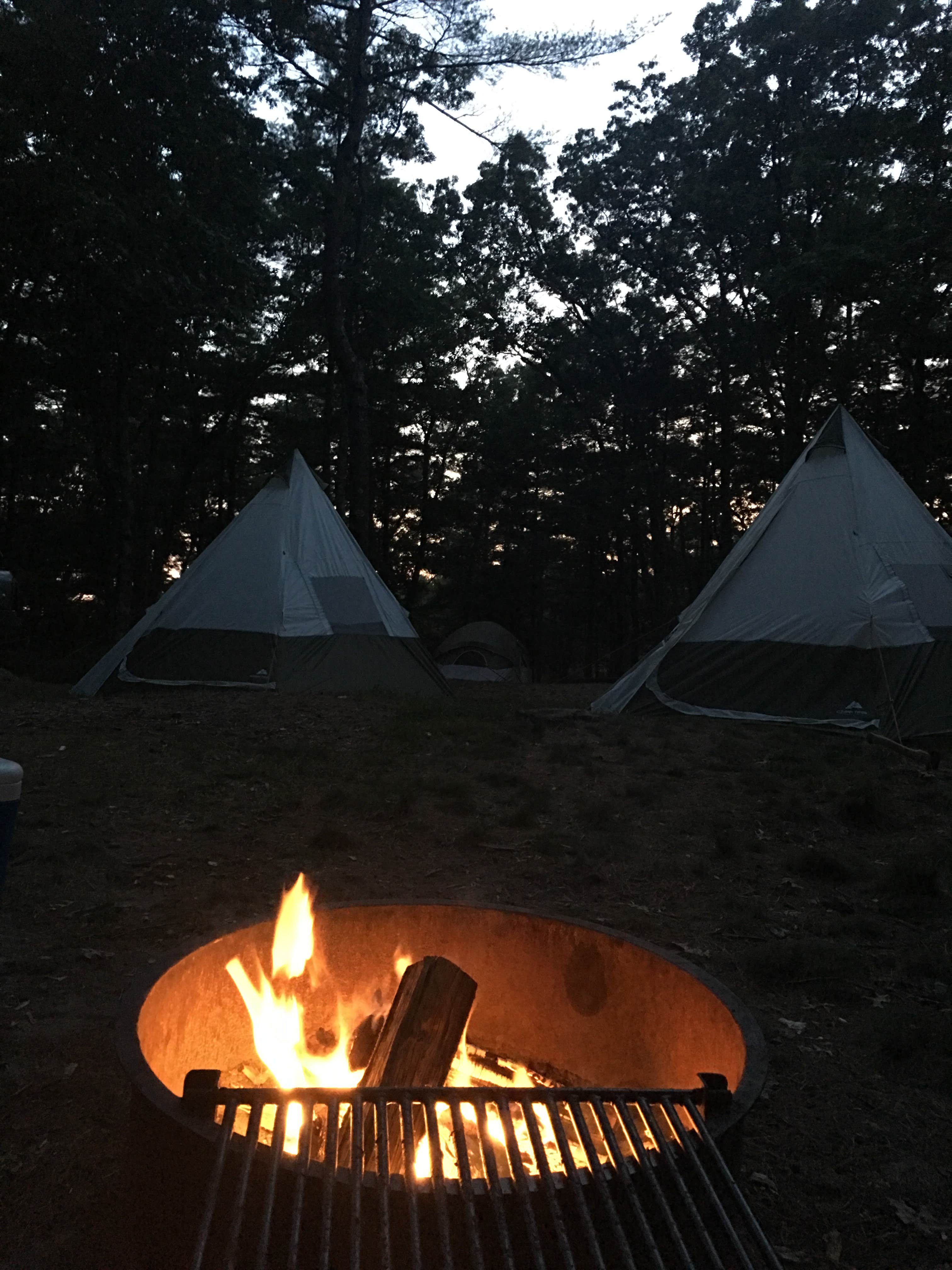 Camper submitted image from Massasoit State Park Campground - 3