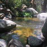 Review photo of Sequoia National Forest Belknap Campground by Vicky  D., August 1, 2019