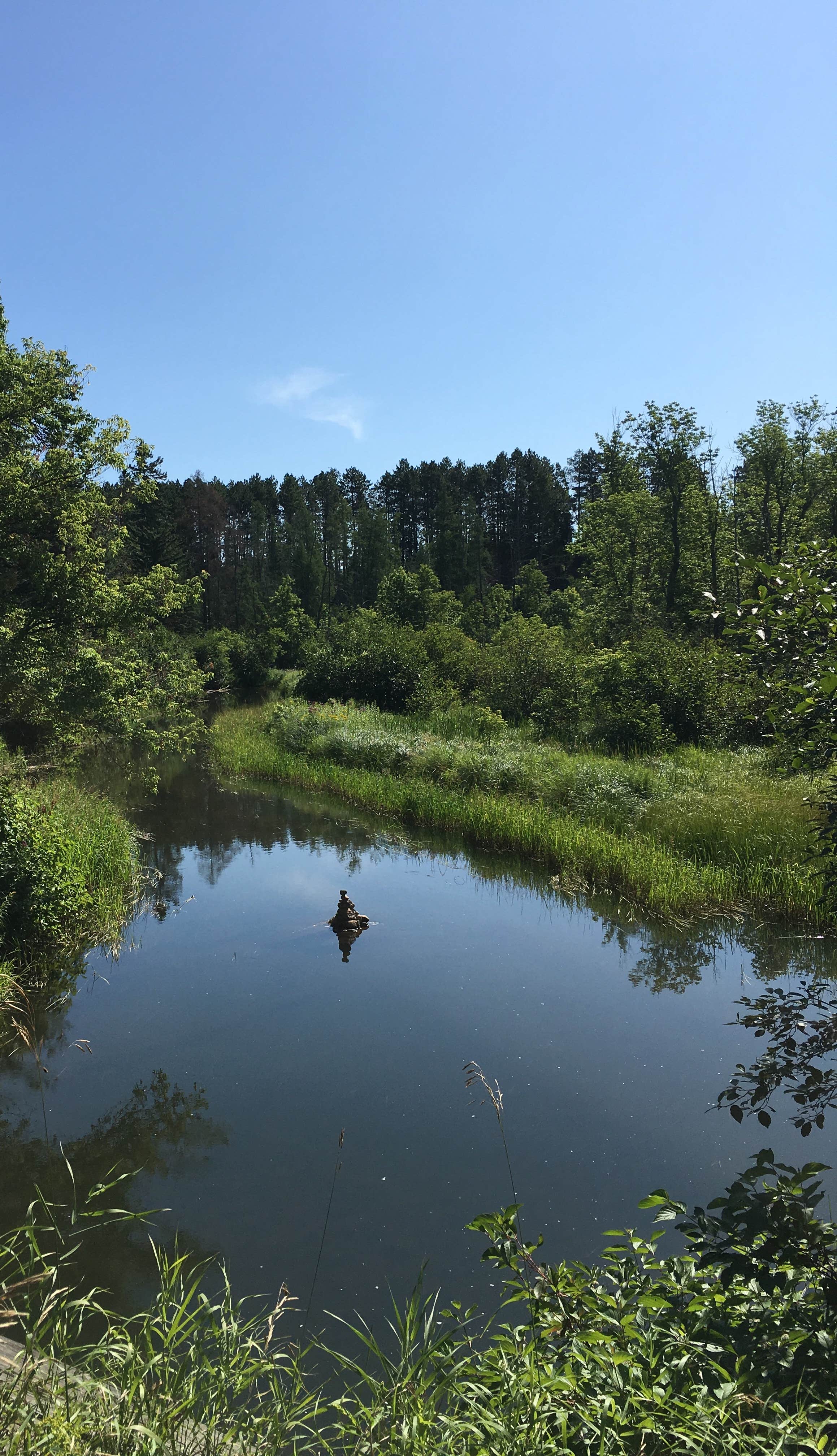 Camper submitted image from Stumphges Rapids Landing - 4
