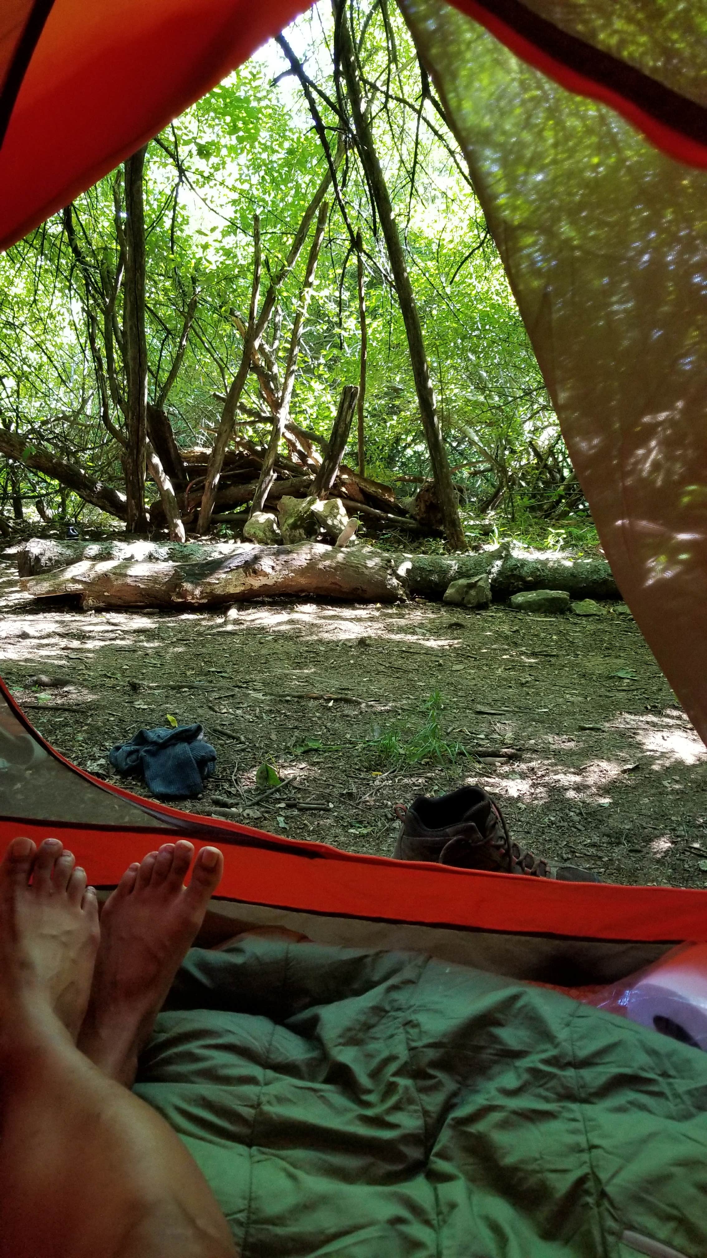 Camper submitted image from Woodridge Park - 2