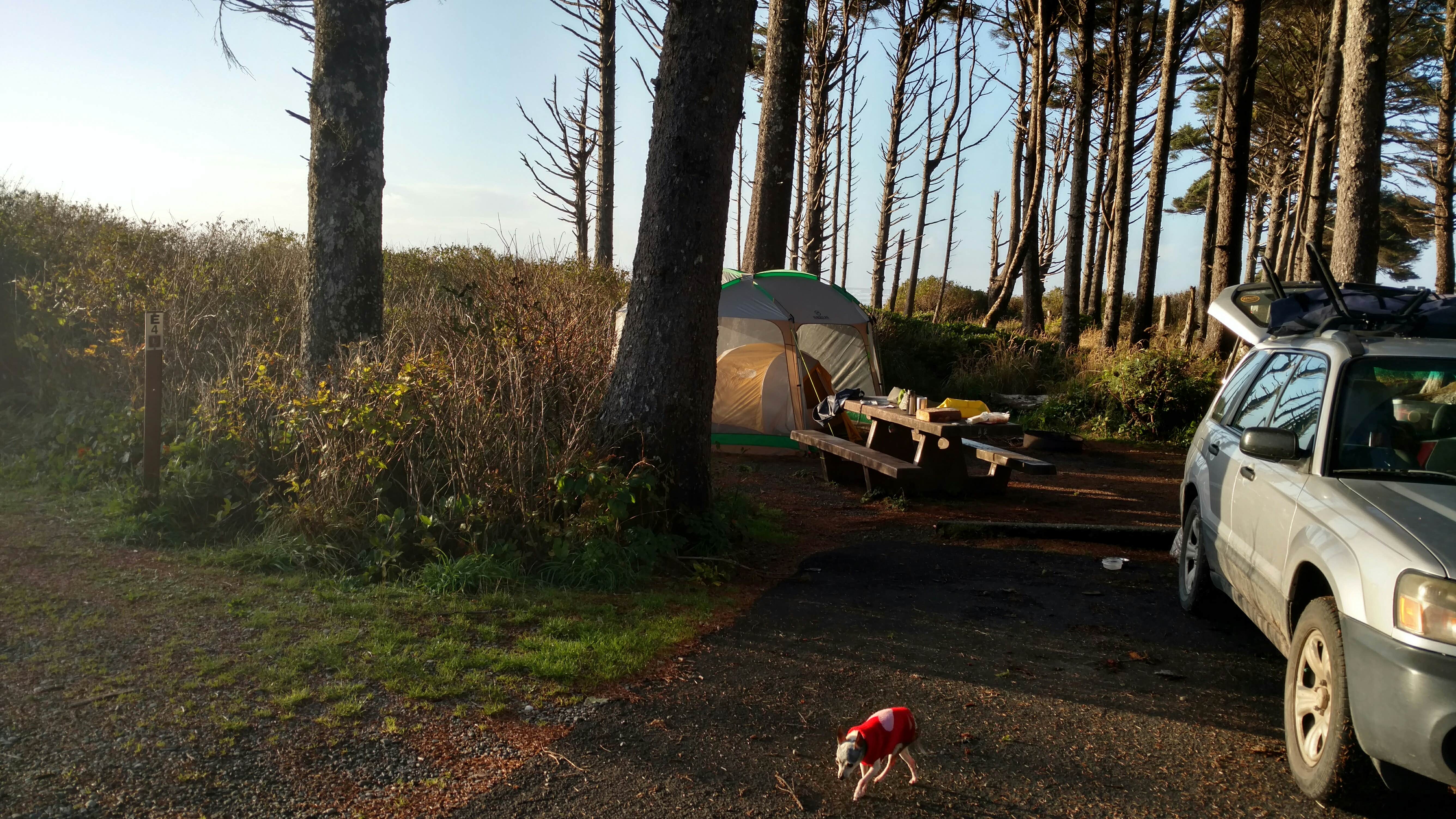 Camper submitted image from Kalaloch Campground - group — Olympic National Park - 2