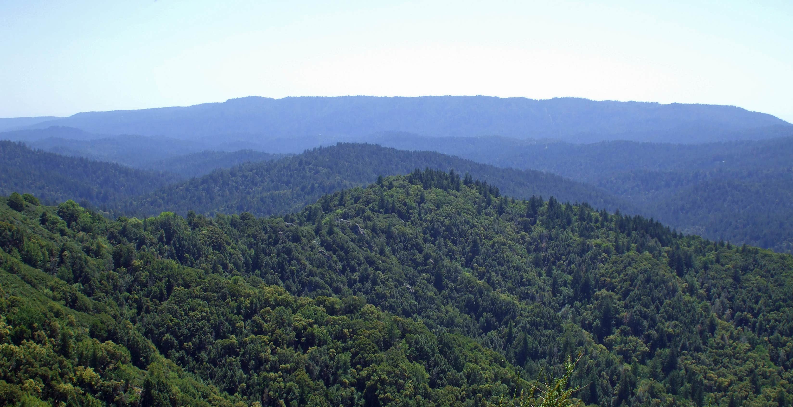 Camper submitted image from Castle Rock Trail Camp — Castle Rock State Park - 3