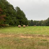Review photo of Ebenezer Park Campground - TEMPORARILY CLOSED by Larry M., October 24, 2020