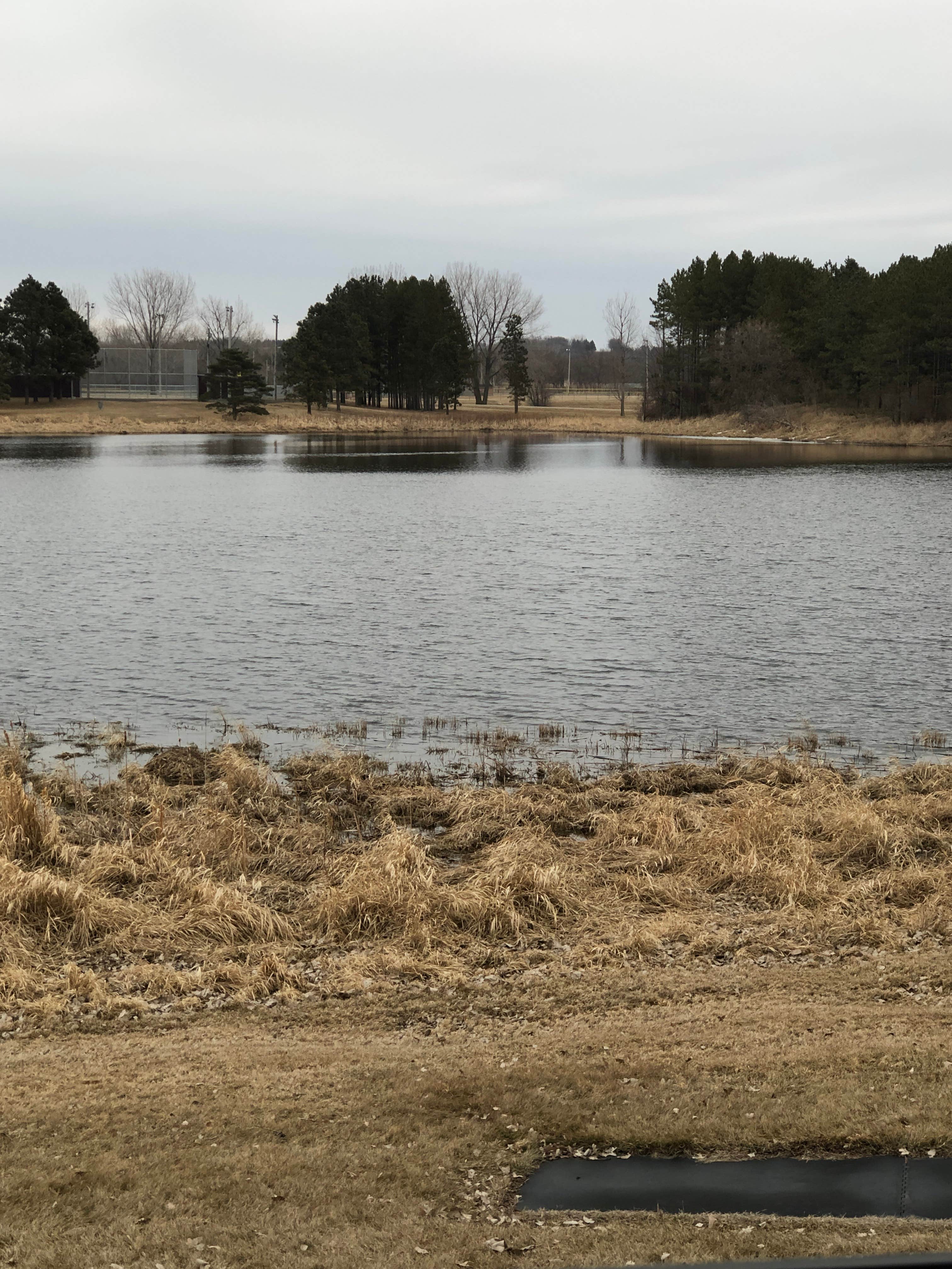 Camper submitted image from Delagoon Park Campground - 4