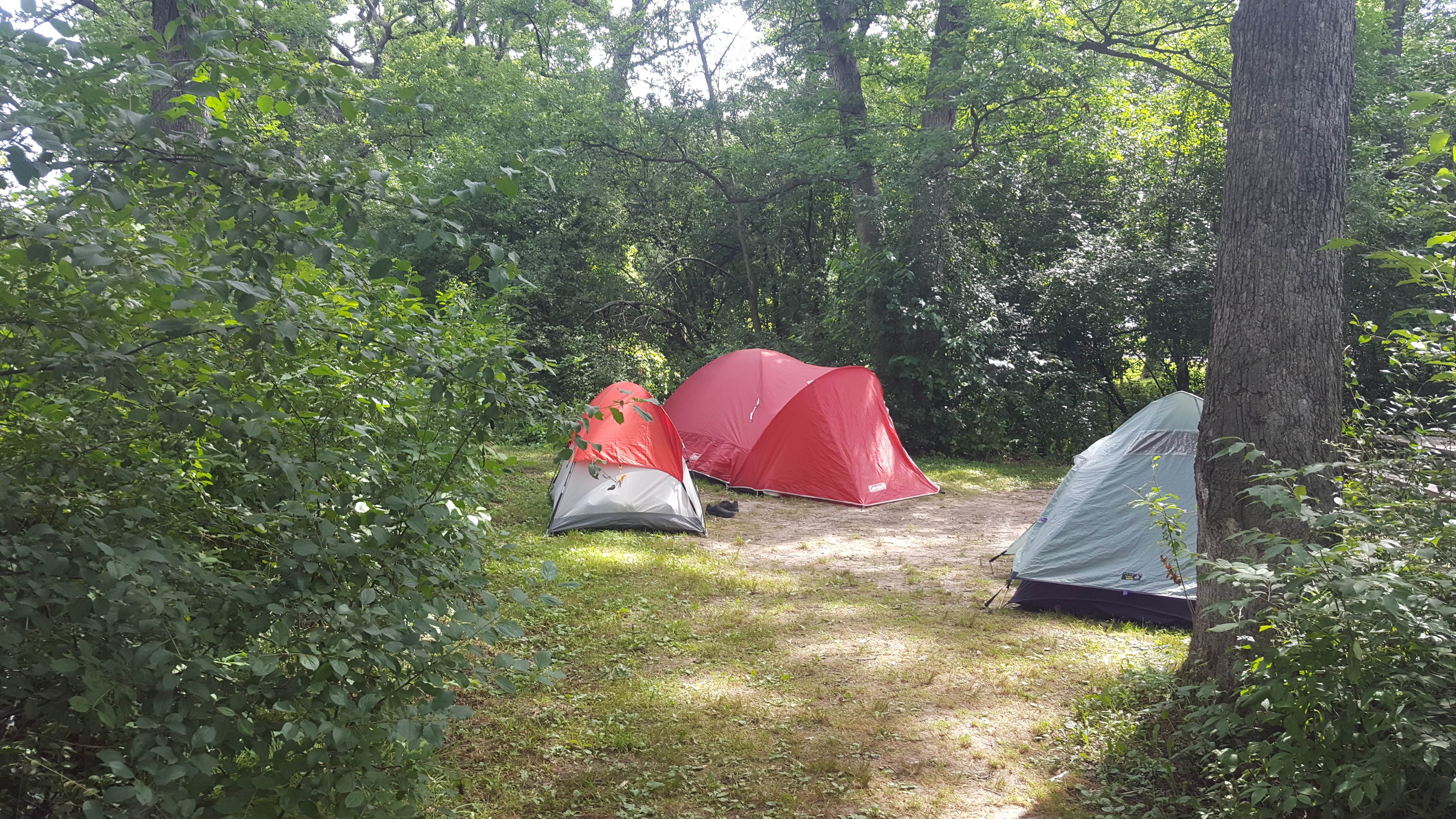 Camper submitted image from Big Foot Beach State Park Campground - 3