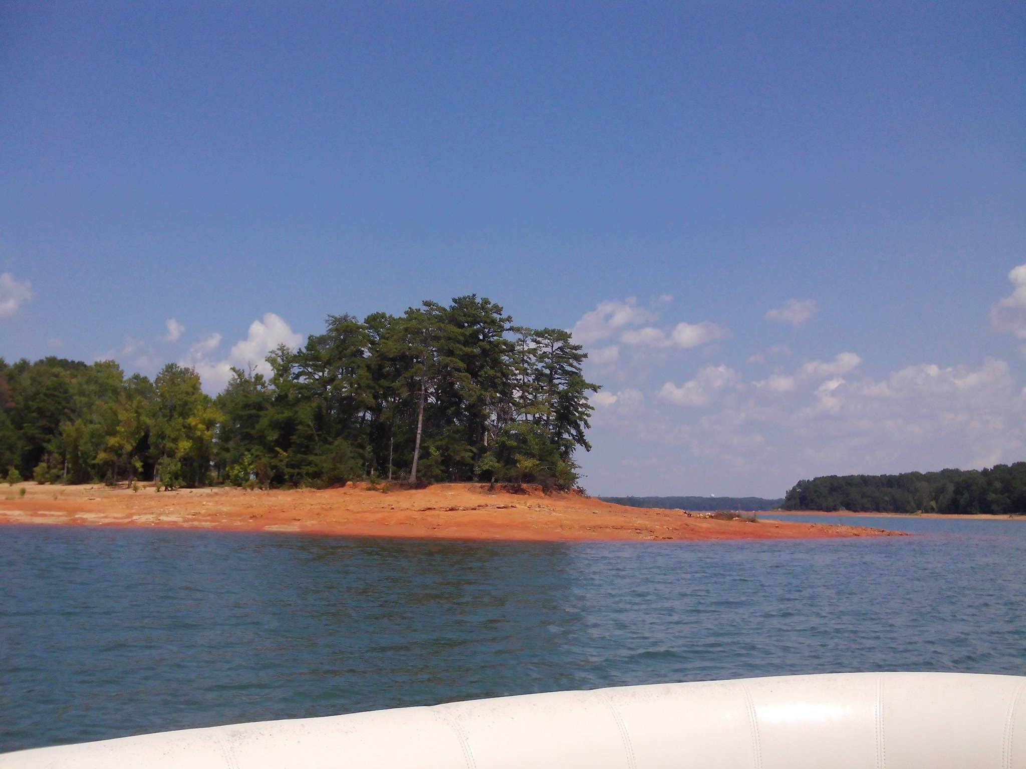 Camper submitted image from Springfield - Hartwell Lake - 5