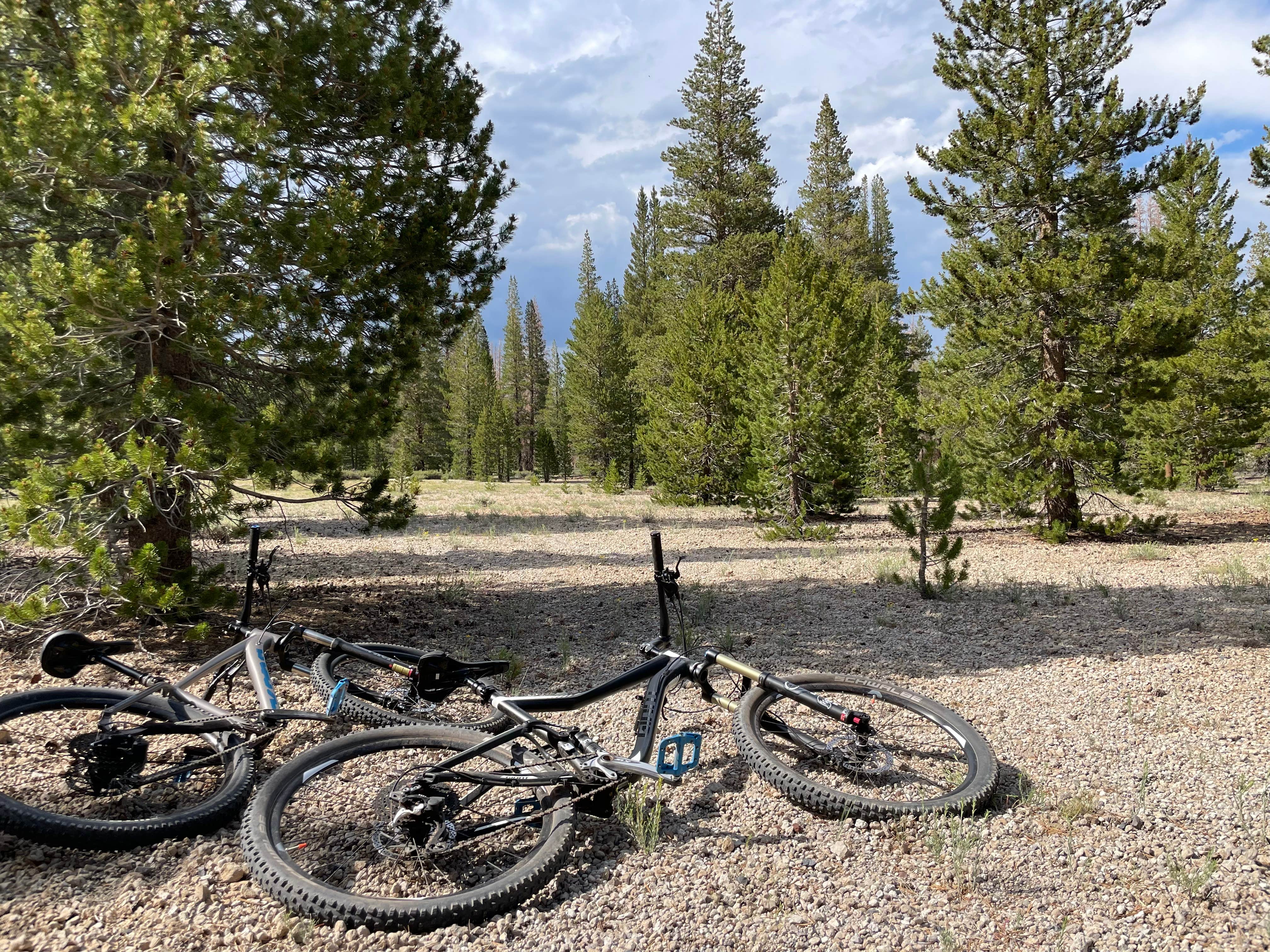Camper submitted image from Inyo National Forest Dispersed Camping - 2
