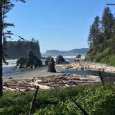Review photo of Kalaloch Campground - group — Olympic National Park by Kelly G., August 26, 2021