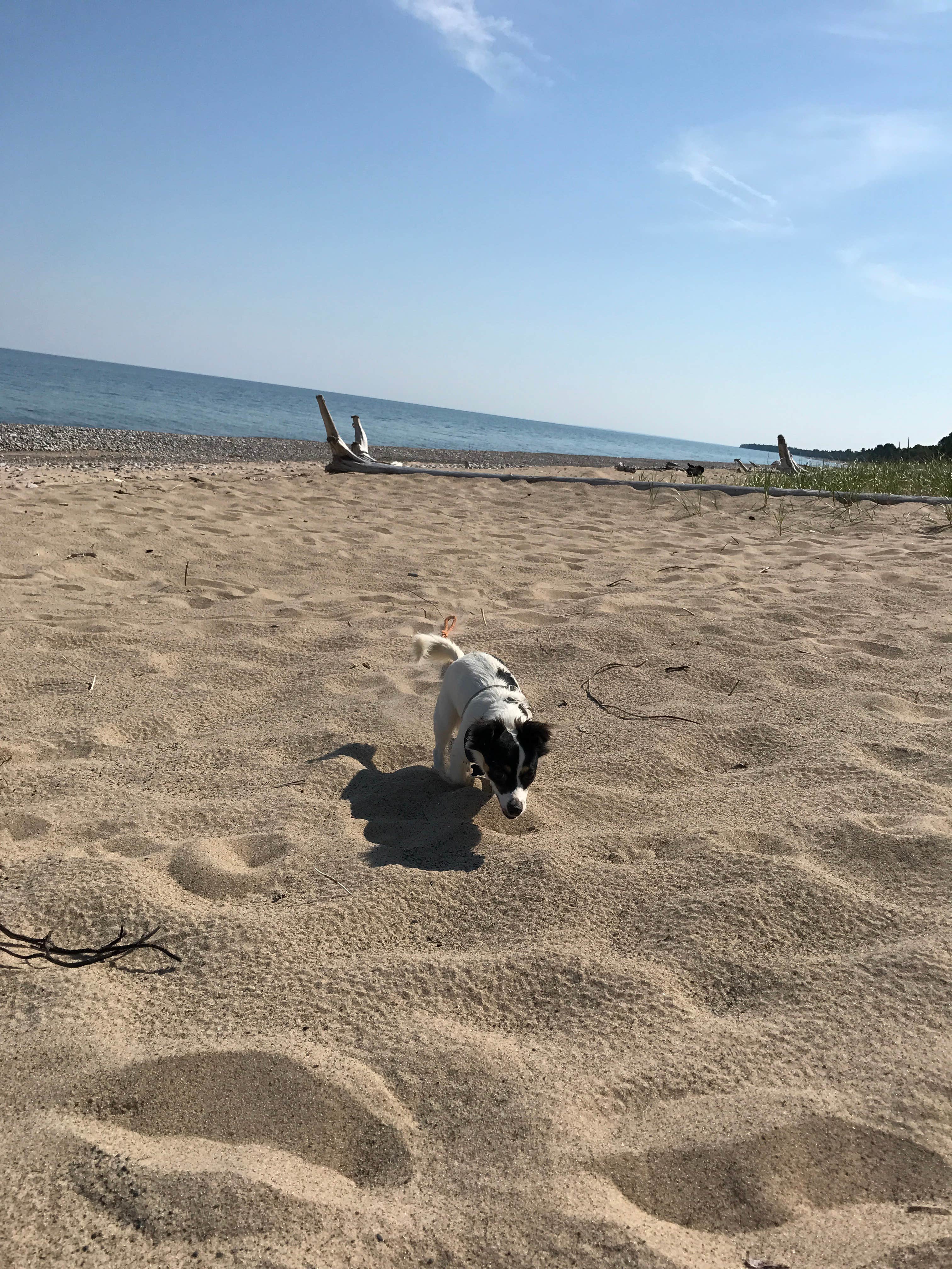 Camper submitted image from Lake Superior State Forest Campground - 5
