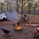Review photo of Brick House Campground (Sc) — Francis Marion And Sumter National Forests by Tori B., March 21, 2022