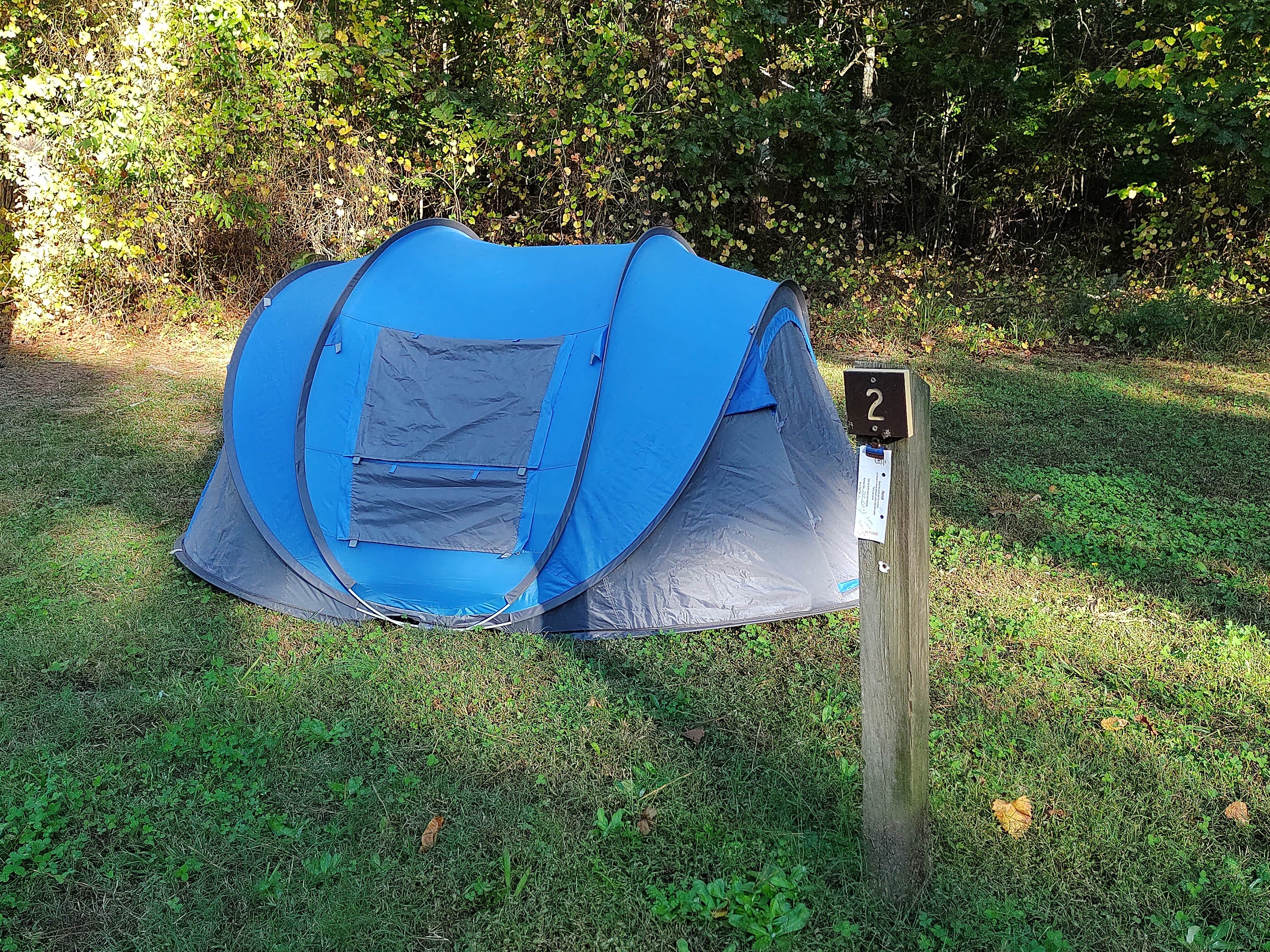 Camper submitted image from Sedalia Campground - 4