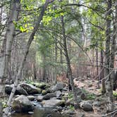Review photo of Sequoia National Forest Belknap Campground by Christi C., September 14, 2022