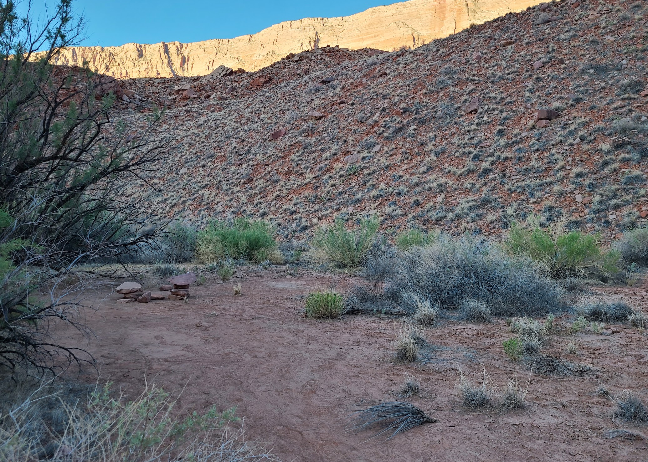 Camper submitted image from Paria Canyon Wilderness - Final Designated Campsite Before Lee's Ferry - 2