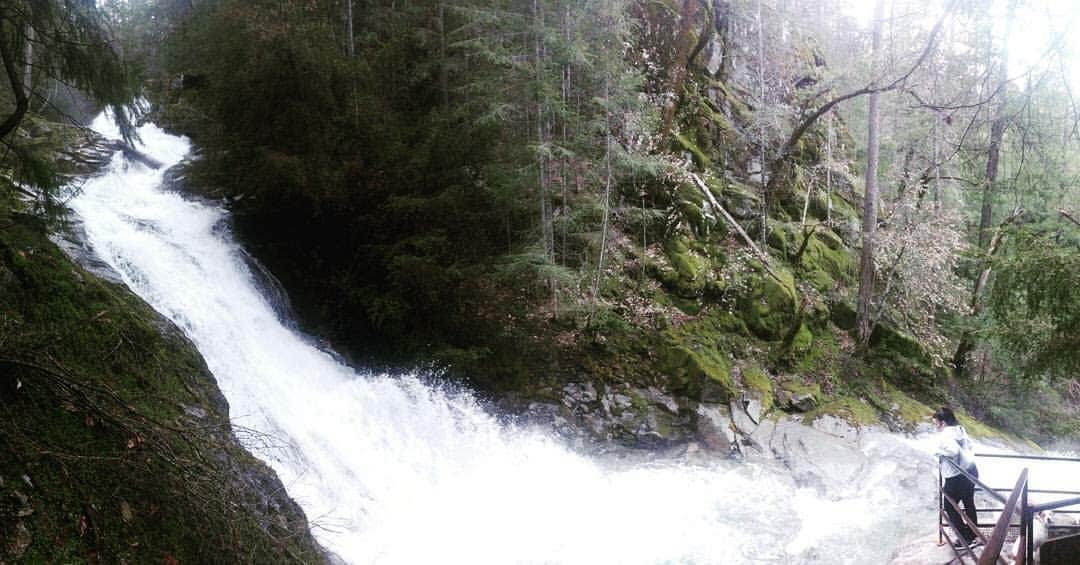 Camper submitted image from Whisky Falls Campground - 4