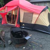 Review photo of Black Mountain Campground - CLOSED INDEFINITELY by Megan D., August 4, 2018