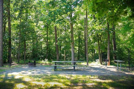 Camper submitted image from Canebrake Horse Camp - 3