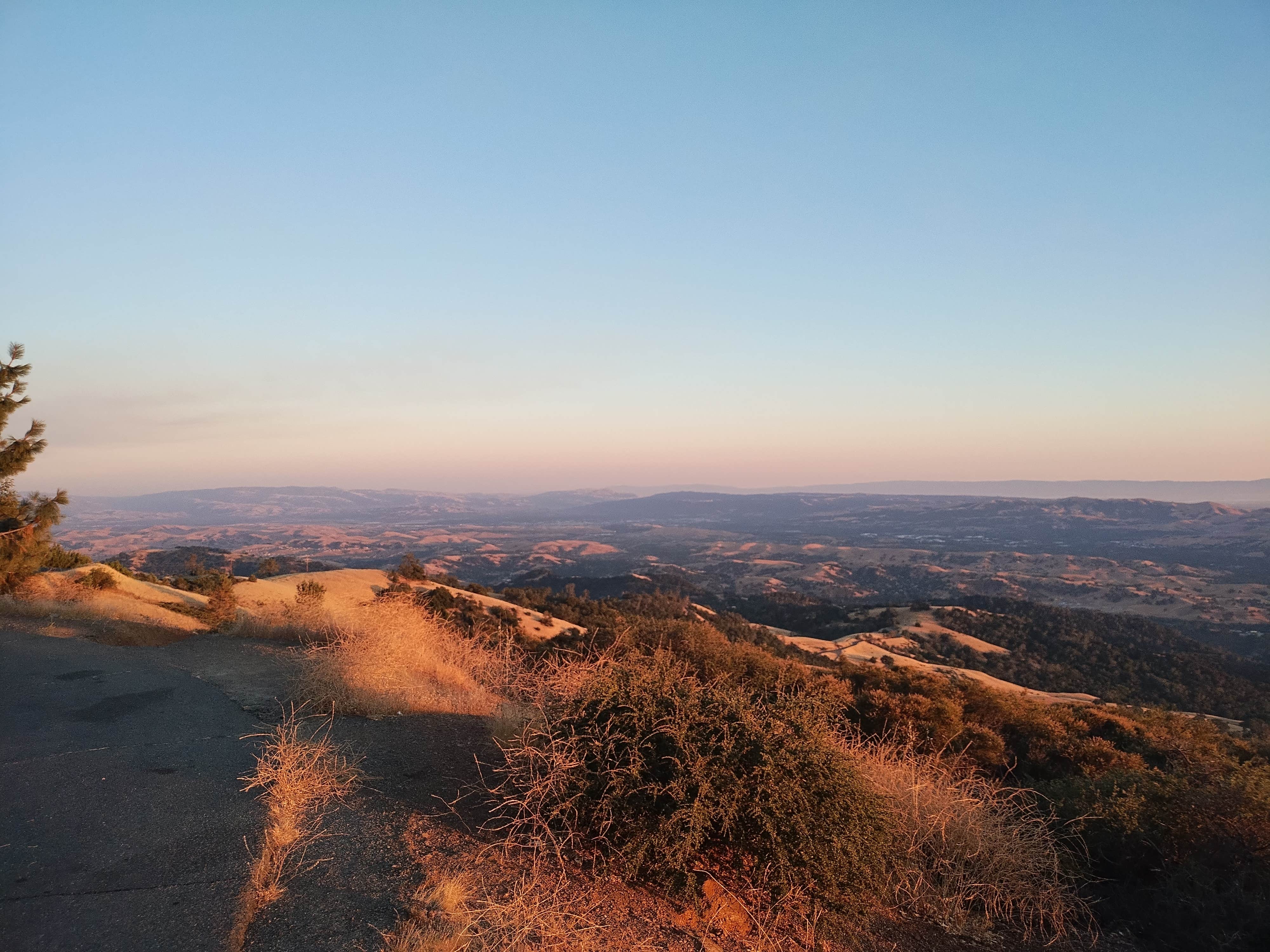 Camper submitted image from Juniper Campground — Mount Diablo State Park - 5