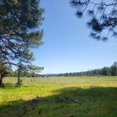 Review photo of Kybar Flats by goose10091203 , June 17, 2025