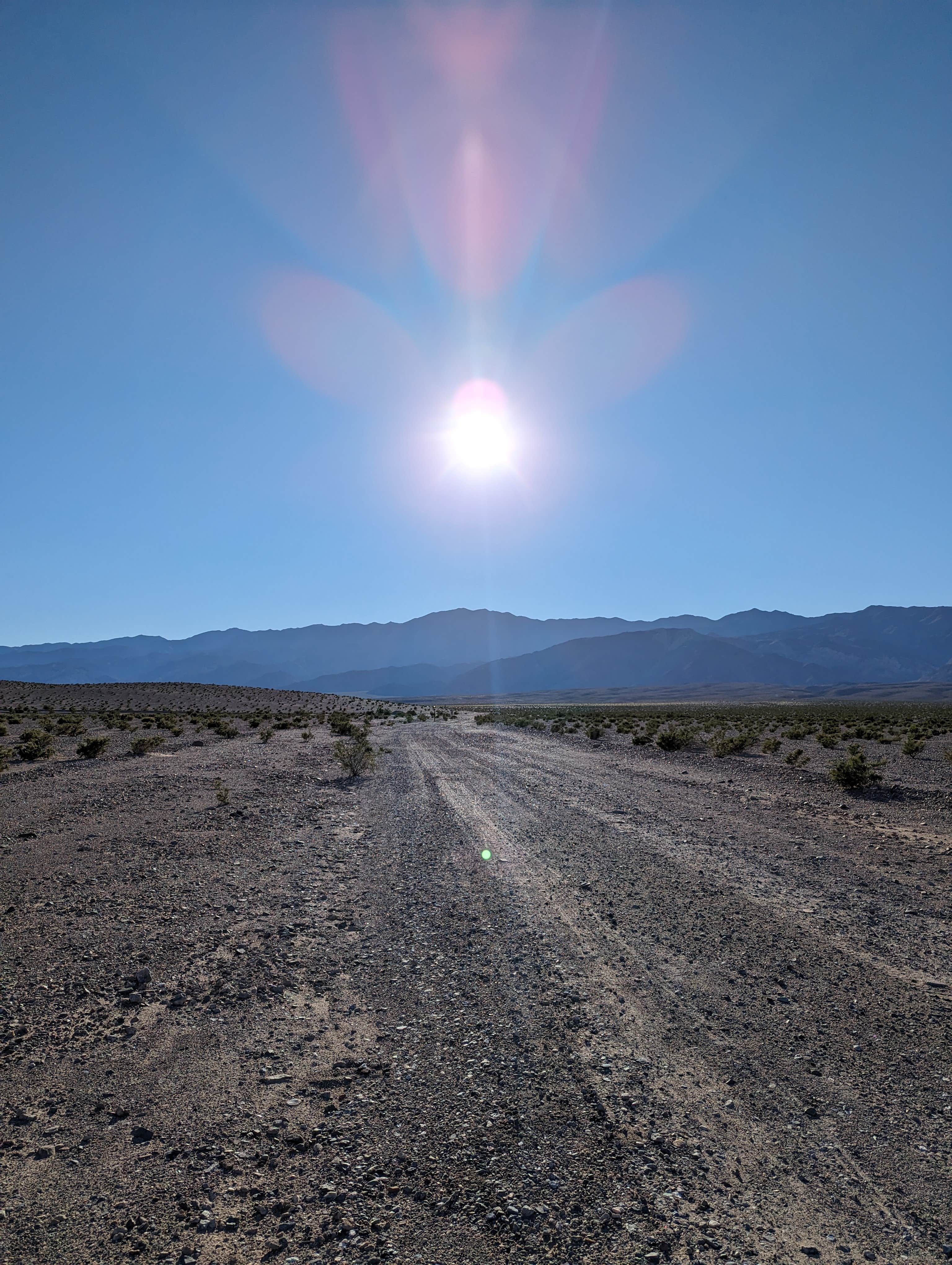 Camper submitted image from Minietta Road - 3