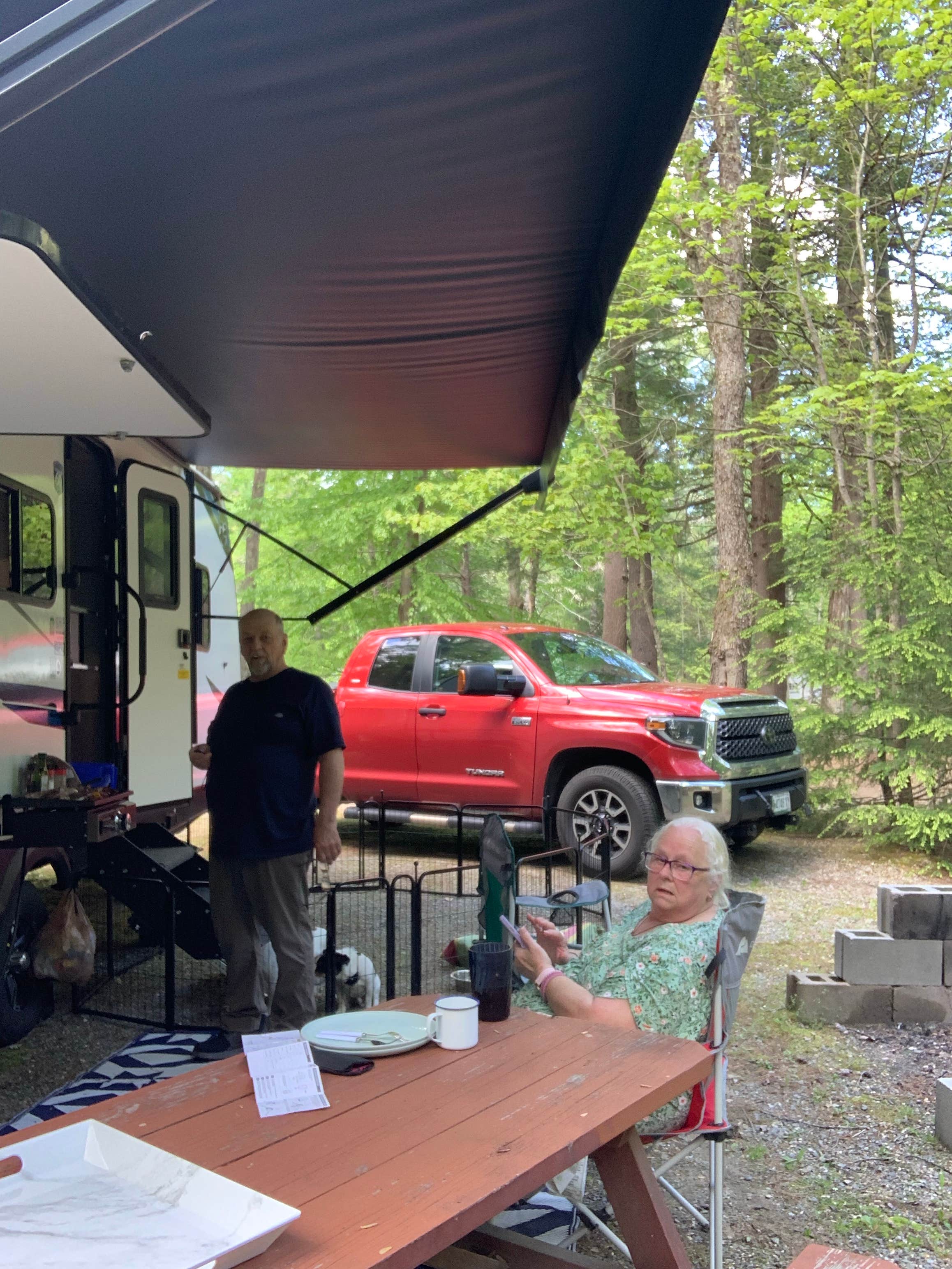 Camper submitted image from Wellington Camping Park - 5